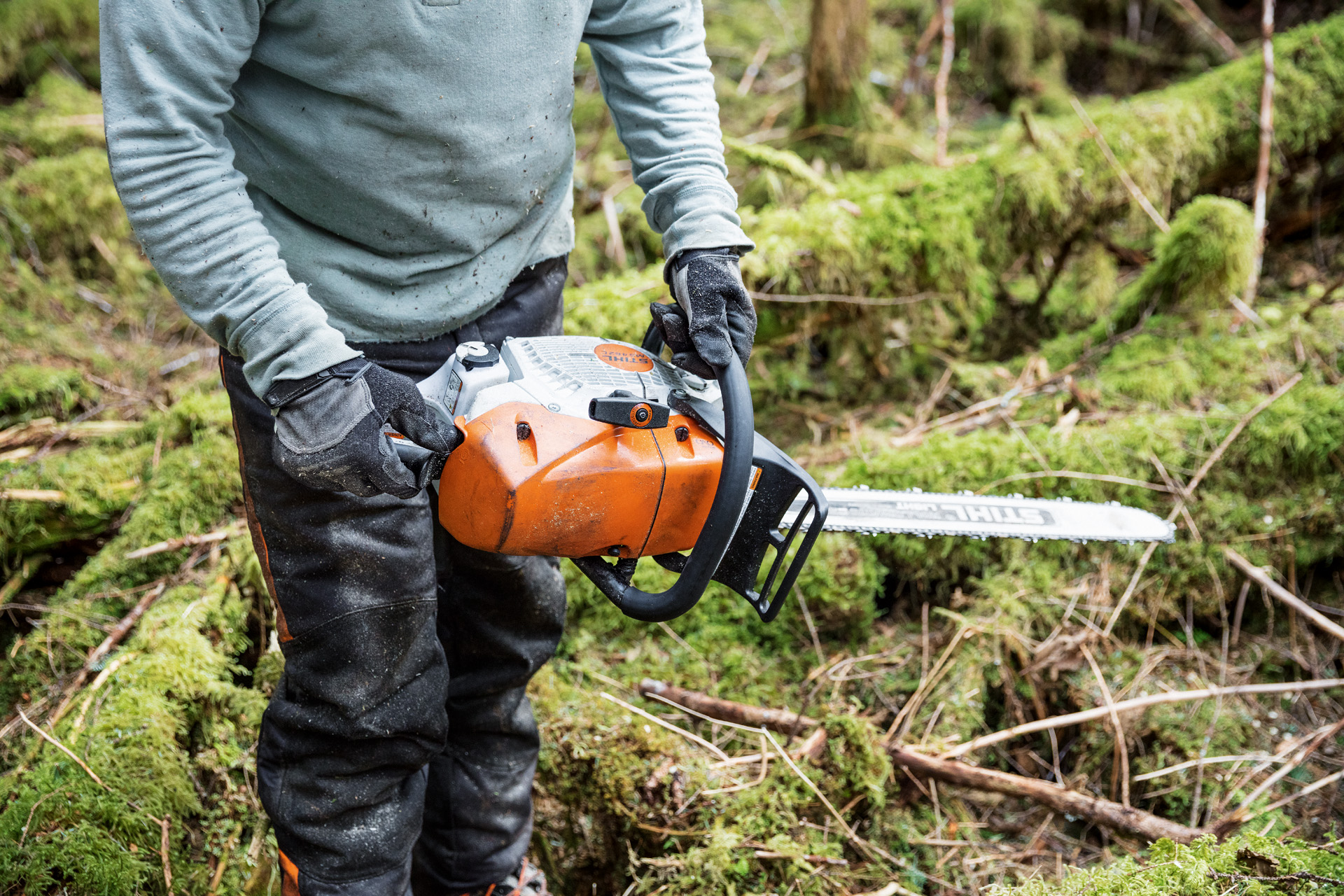 Benzínová motorová pila STIHL MS 462 C-M s vyhříváním karburátoru přenášená mezi kmeny stromů porostlými mechem v lese.