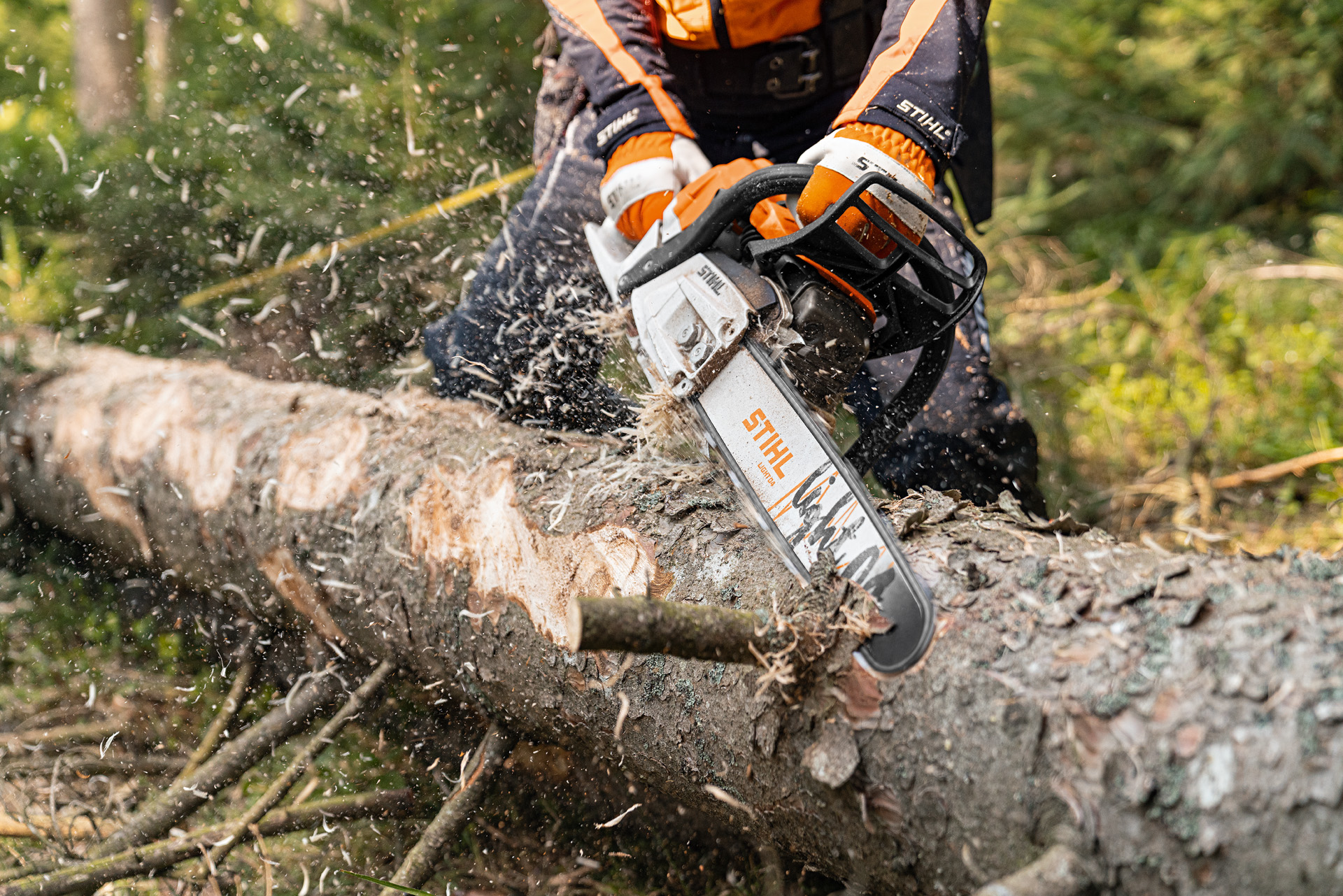 Odkorňování kmene v lese benzínovou řetězovou pilou STIHL MS 261 C-M s motorem 2-Mix a vodicí lištou Light 04