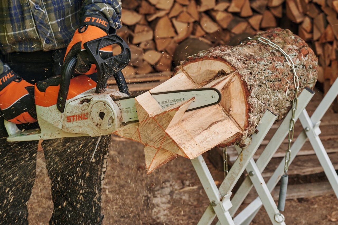 Hvězda se odřezává z kmenu pomocí motorové pily STIHL.