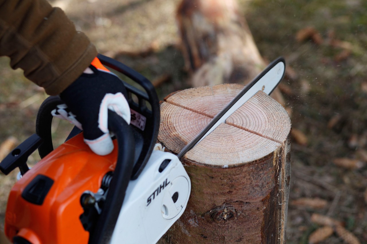 Kmen stromu se dvakrát nařízne pomocí benzinové motorové pily STIHL MS 181 C
