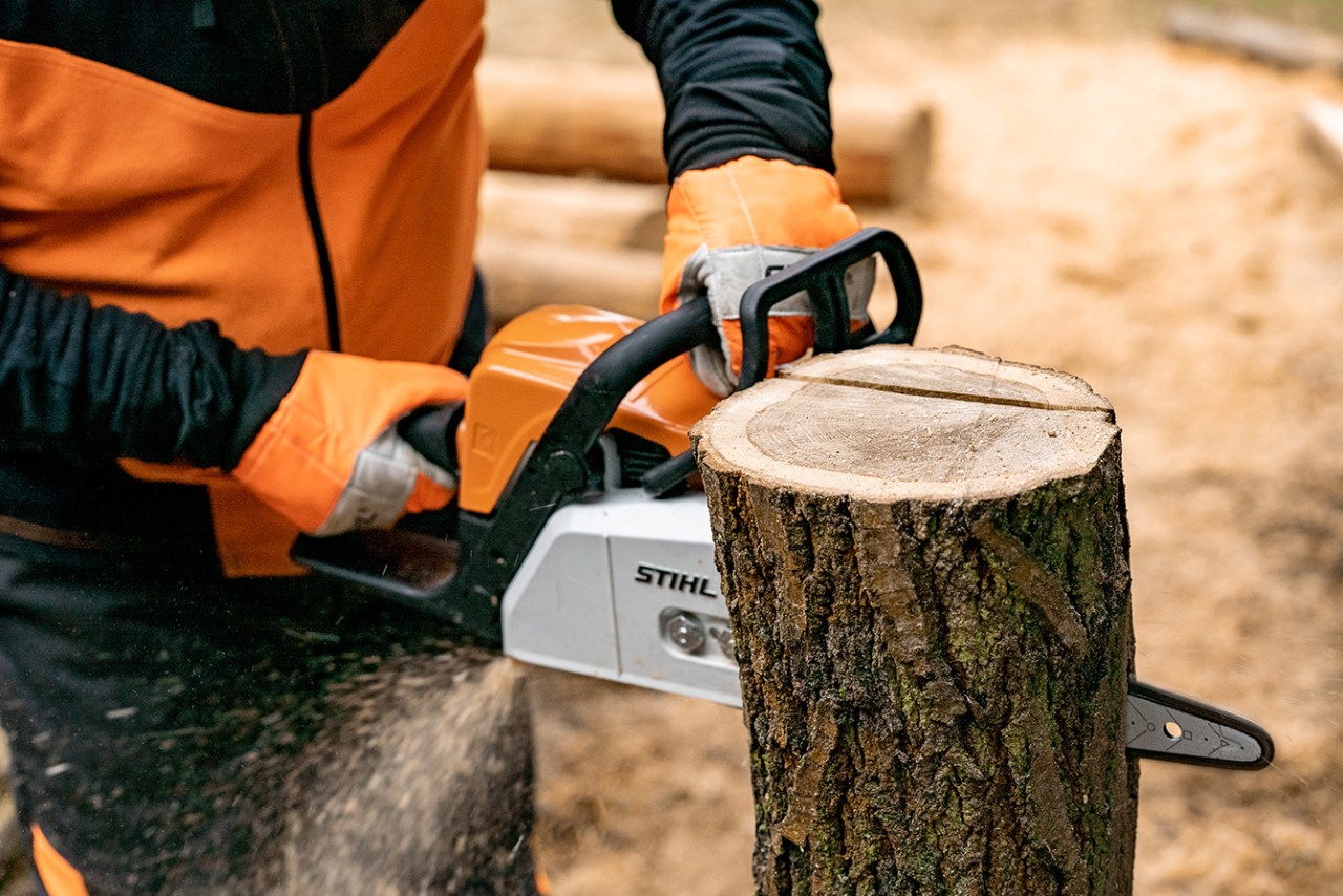 Benzínovou motorovou pilou STIHL MS 170 se odstraňuje jedna strana kmene stromu