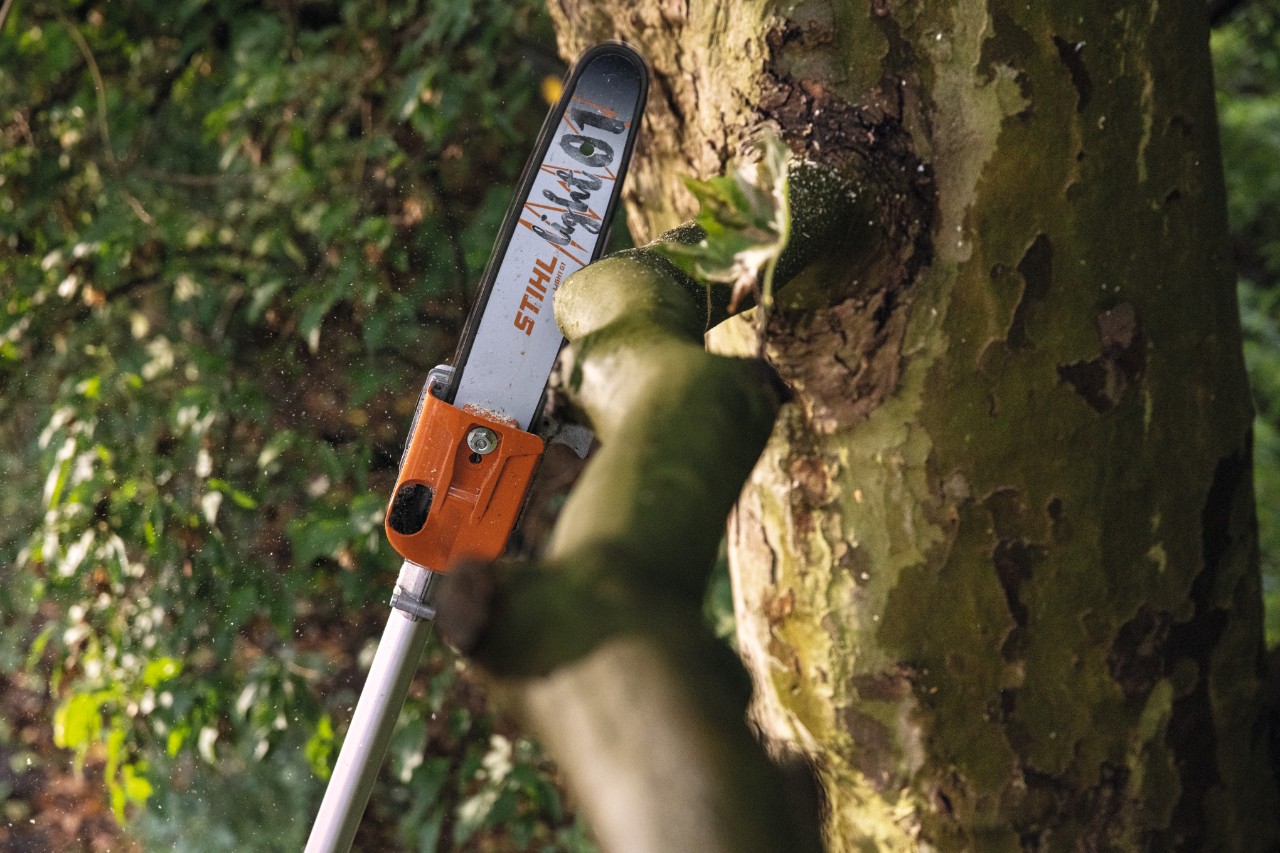 Detailní záběr akumulátorové vyvětvovací pily STIHL HTA 135 při odřezávání větve