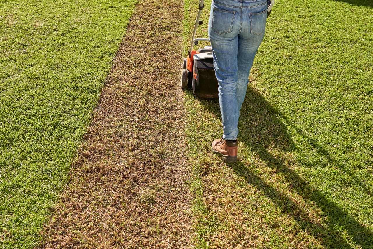 Žena provzdušňuje trávník akumulátorovým provzdušňovačem STIHL RLA 240