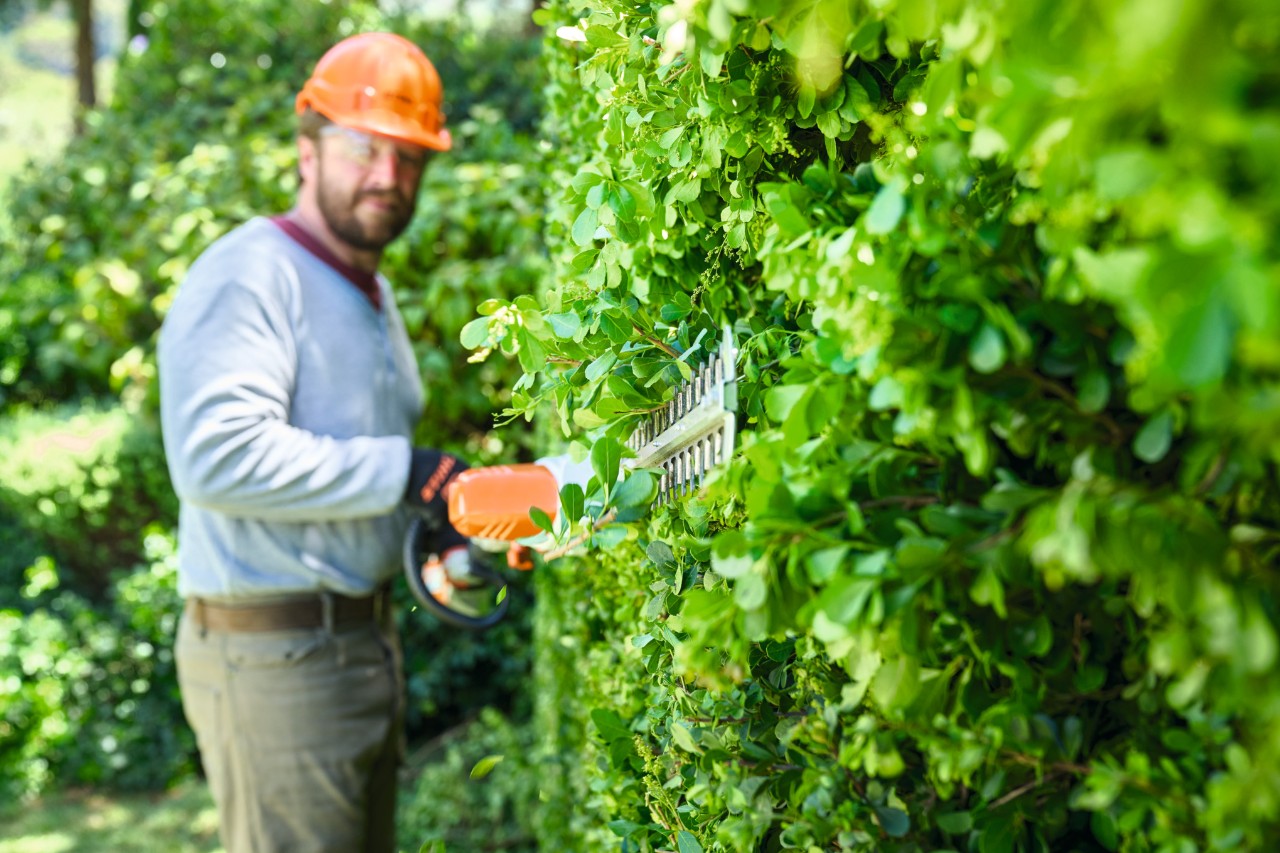 Muž v ochranném vybavení stříhá živý plot odspodu nahoru akumulátorovými nůžkami na živý plot STIHL HLA 56