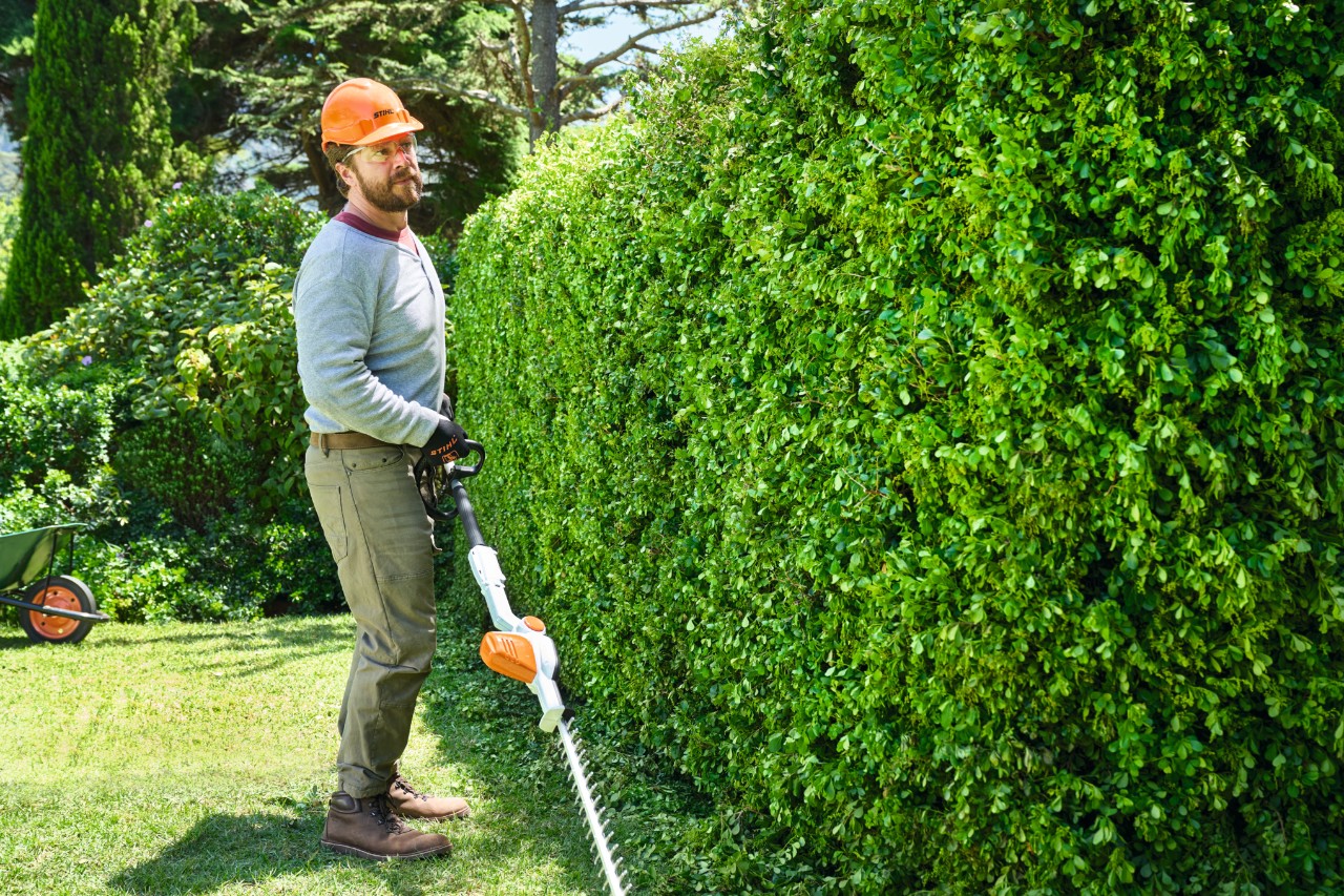 Muž pomalu kráčí podél živého plotu s akumulátorovými nůžkami na živý plot STIHL HLA 56