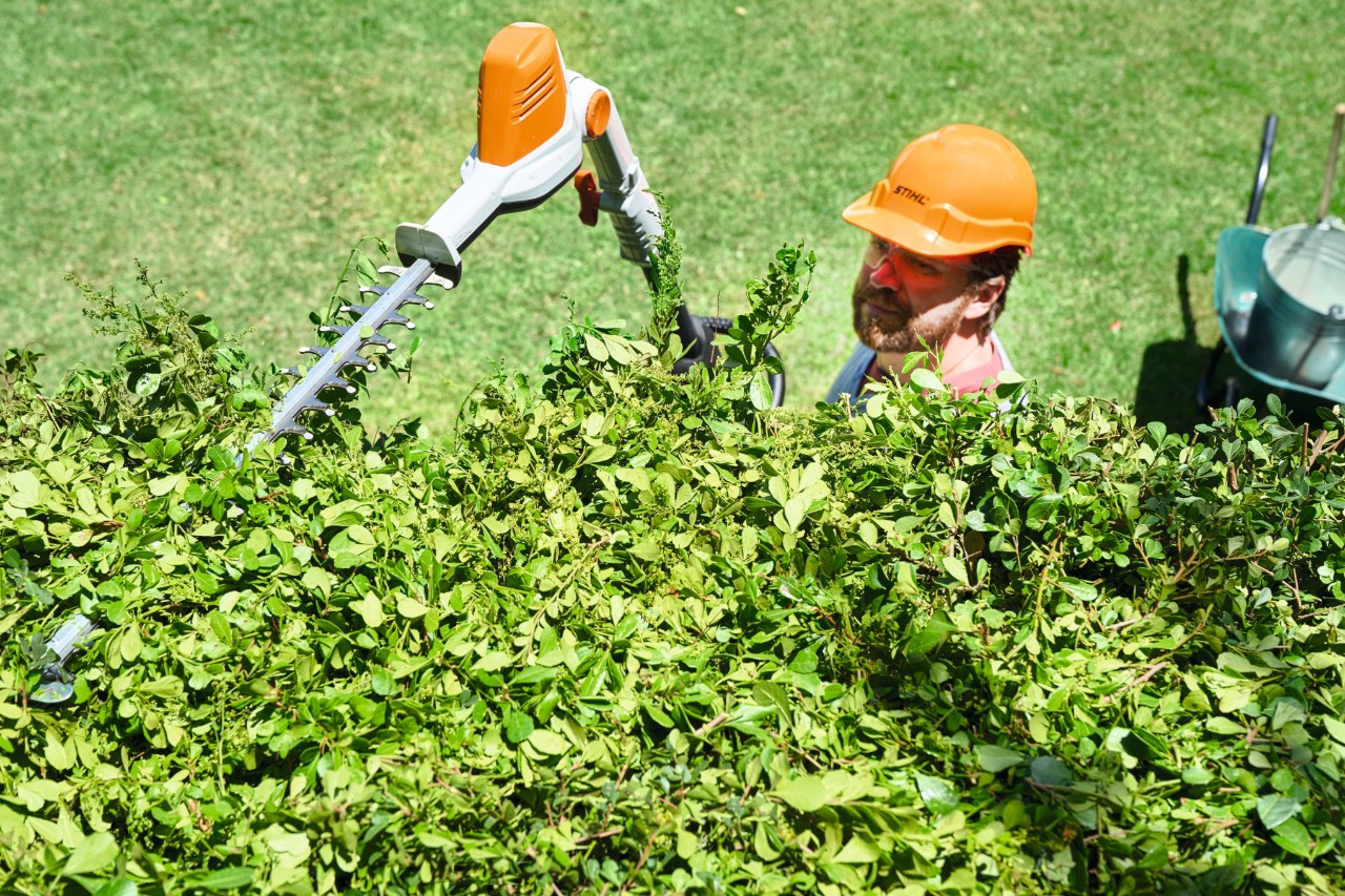Pohled z ptačí perspektivy ukazuje, jak muž v ochranném vybavení stříhá korunu živého plotu nůžkami na živý plot STIHL HLA 56 