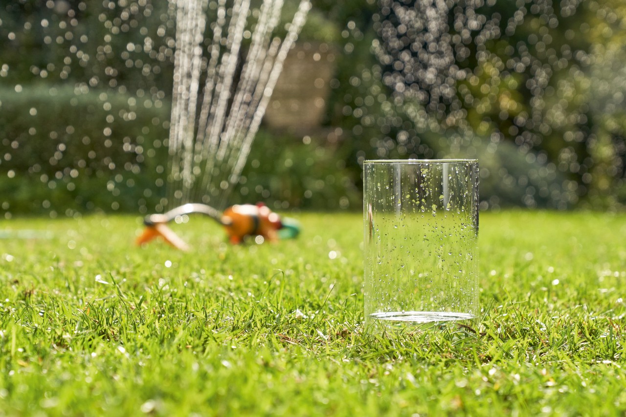 Voda z rozstřikovače v pozadí se sbírá do sklenice vedle kytky na záhonu