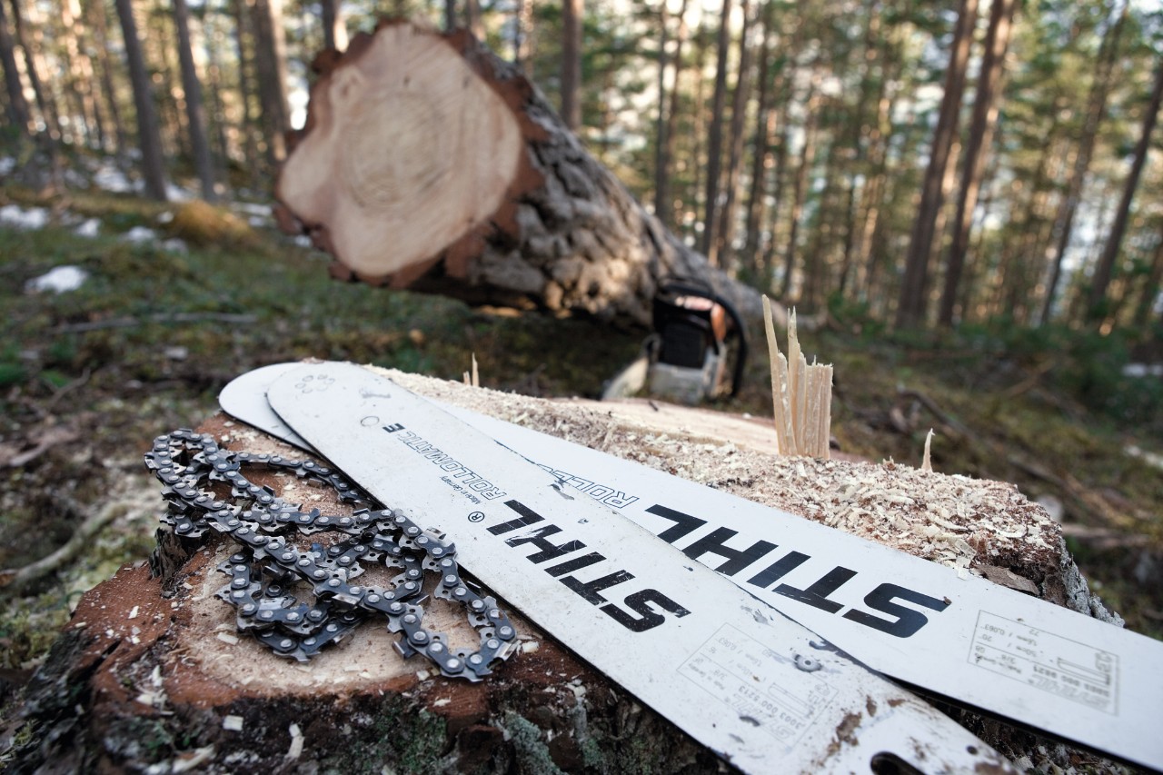 Řetězy a vodicí lišty STIHL na pařezu v lese, v pozadí čerstvě rozřezaný strom 