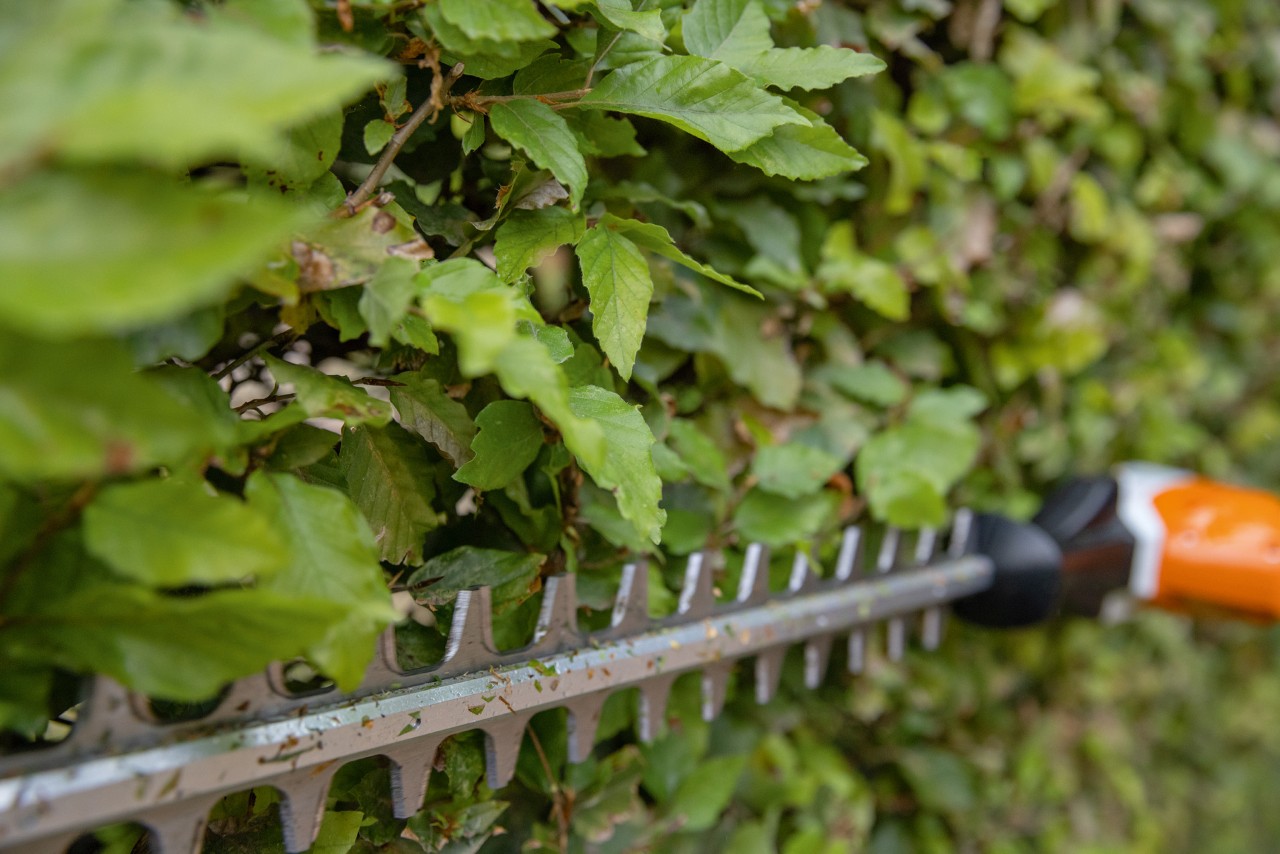 Detailní záběr na stříhání živého plotu zahradními nůžkami STIHL