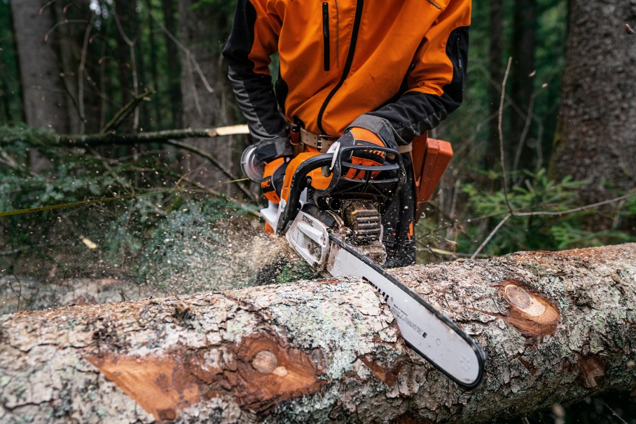S benzinovou řetězovou pilou STIHL MS 400 C-M s magnéziovým pístem se řeže kmen stromu ležící na zemi