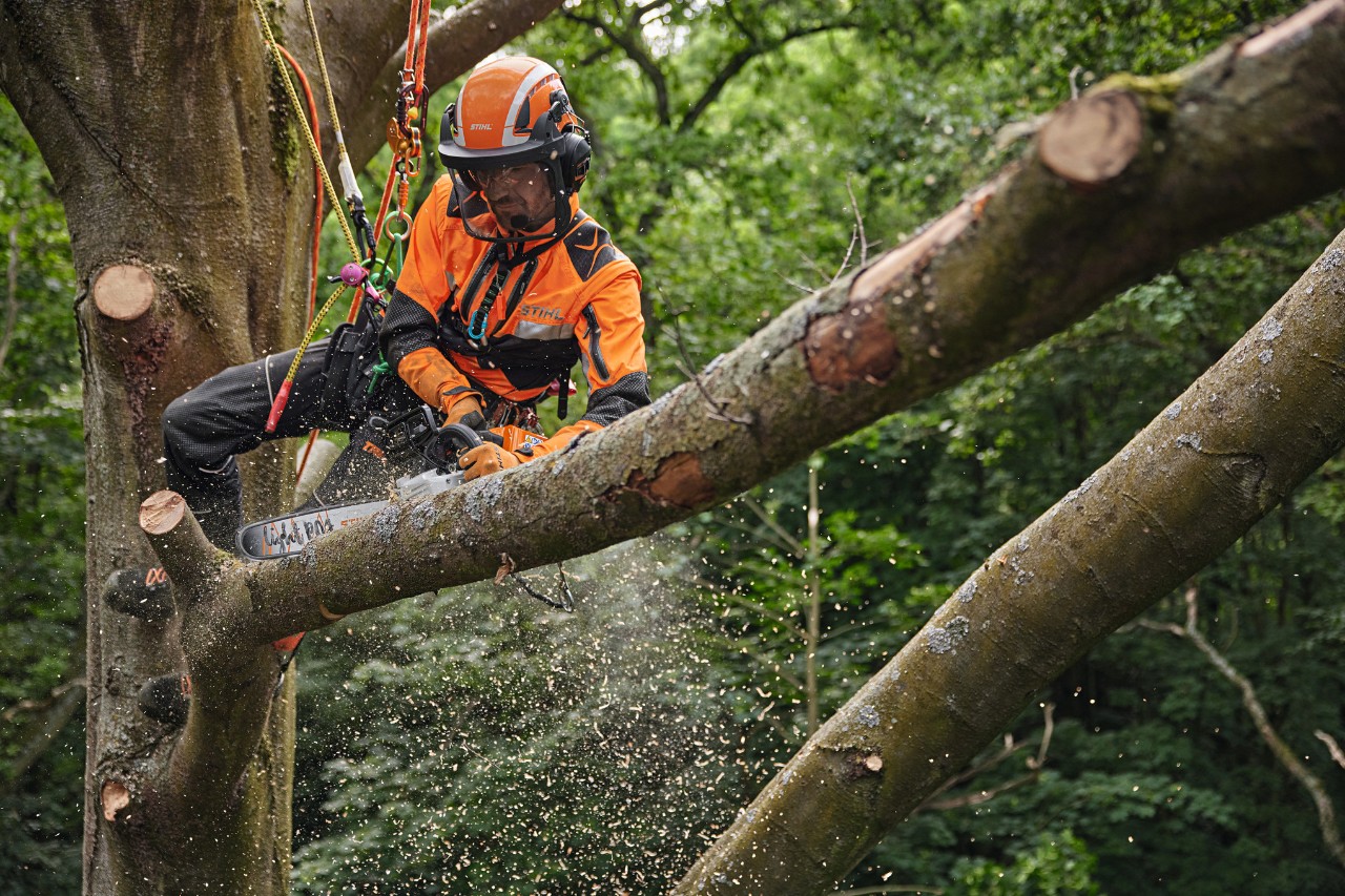 Arborista při práci s akumulátorovou řetězovou pilou STIHL MSA 220 TC-O v koruně stromu s osobními ochrannými prostředky pro práci v lese