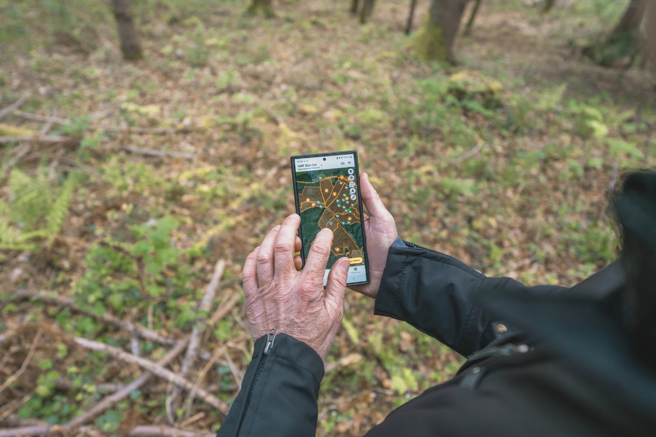 Detailní záběr muže, který drží v ruce mobilní telefon s mapou lesní oblasti s vyznačenými body