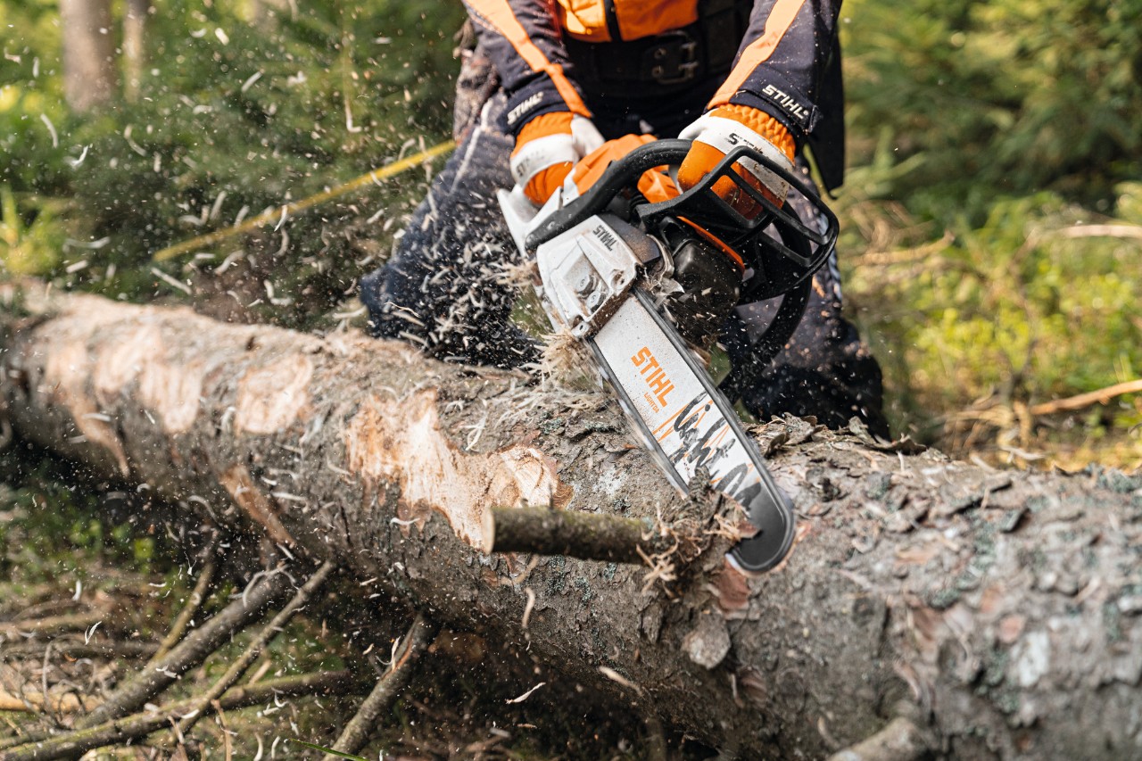 Odkorňování kmene v lese benzínovou řetězovou pilou STIHL MS 261 C-M s motorem 2-Mix a vodicí lištou Light 04