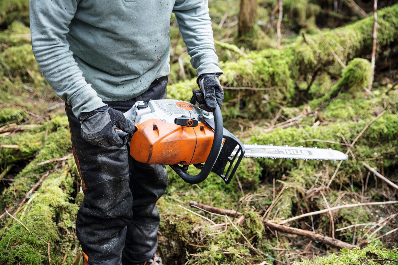 Osoba s benzínovou motorovou pilou STIHL MS 462 C-M s ohříváním karburátoru pracující v lese mezi mechem porostlými kmeny stromů